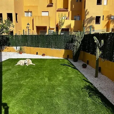 Magnifico En